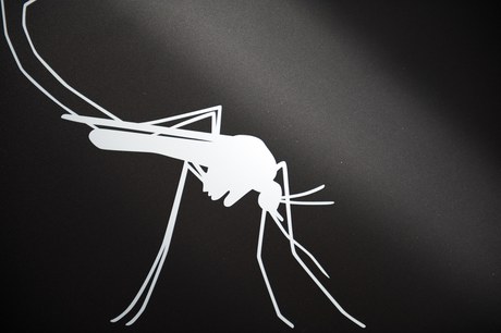 The Future of the Swiss Engagement against Malaria The Future of the Swiss Engagement against Malaria
